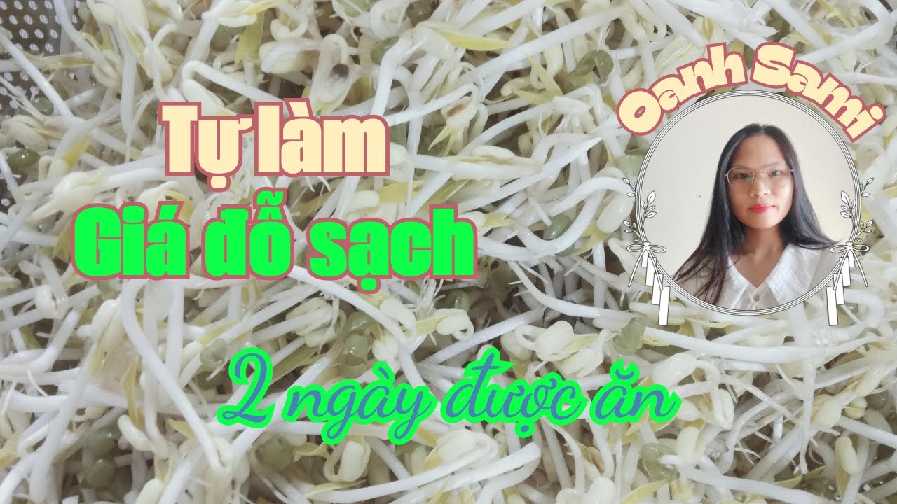 Cách làm giá đỗ tại nhà đơn giản